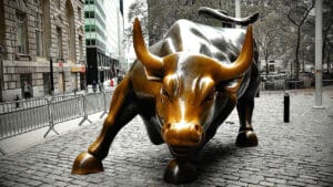 Bull Stock Market Cash