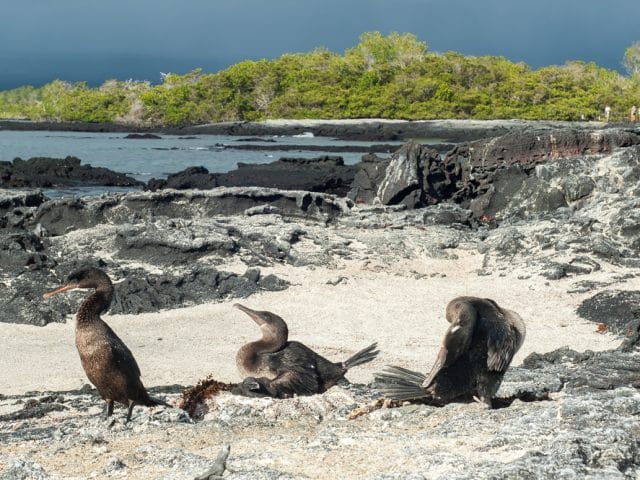 Galapagos holiday