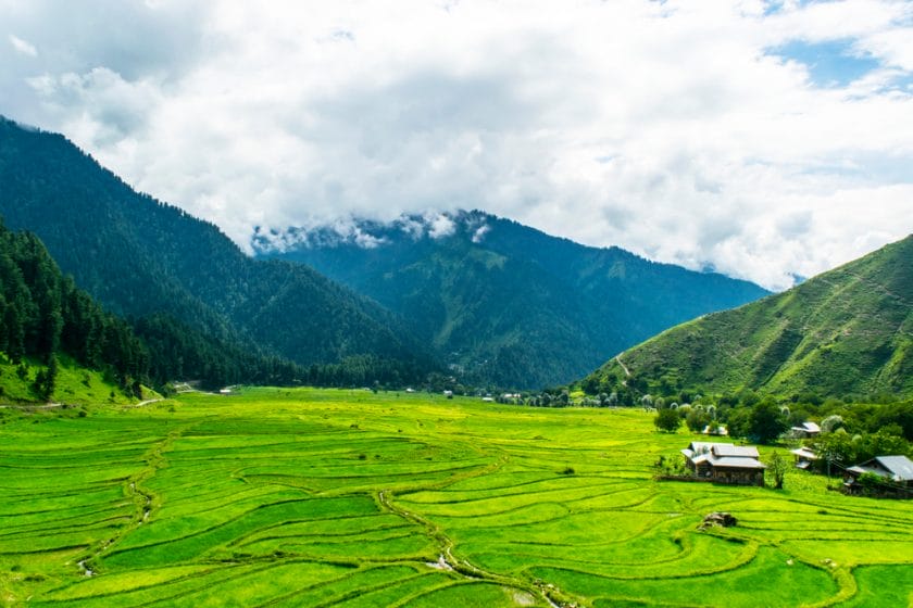 Beautiful Rice Field View In Leepak Valley, kashmir beautiful landscape