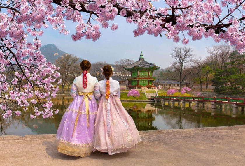 Cherry Blossoms in full bloom in Seoul South Korea