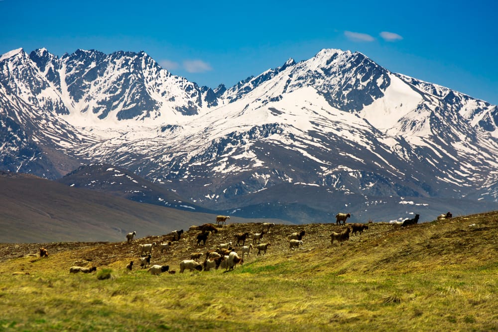 Deosai Plains the highest plains in the world Gilgit Baltistan , Skardu ,Pakistan