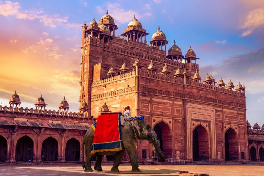 Decorated Indian elephant in front of Buland Darwaza Fatehpur Sikri Agra