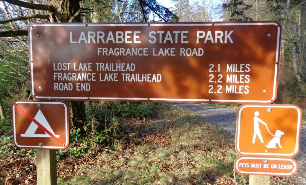  larrabee-state-park-best-things-to-do-in-bellingham