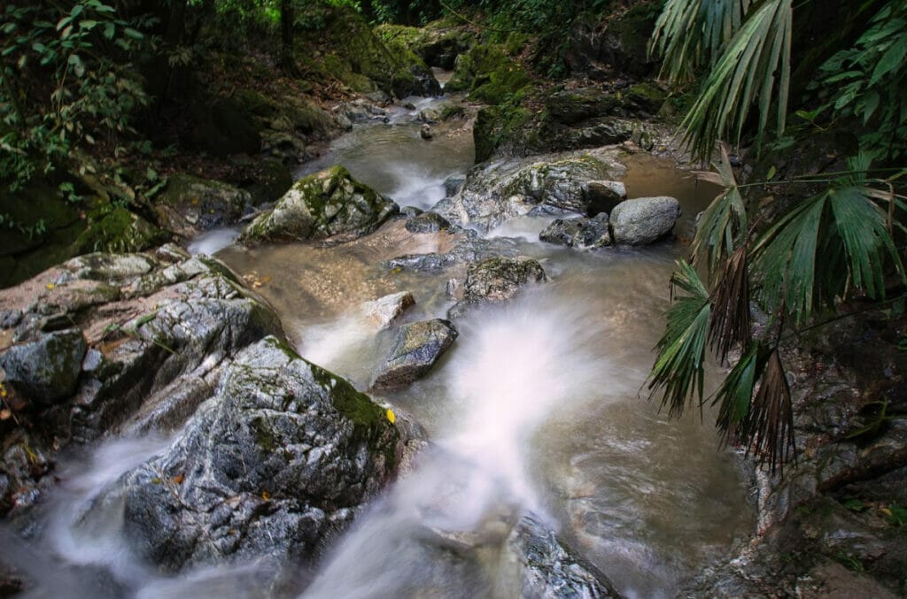 things to do in Minca comabia