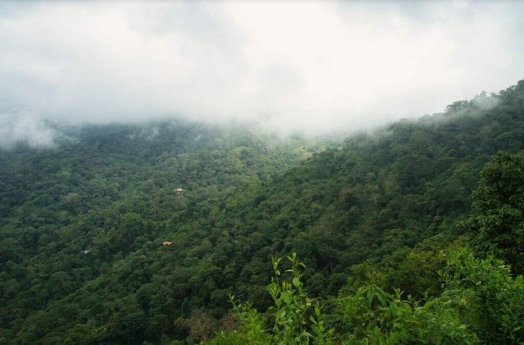 things to do in Minca