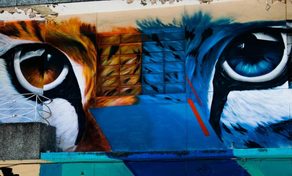 beautiful Things to do in Medellin Colombia