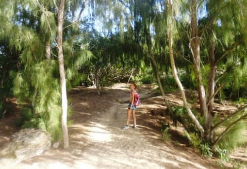 Hiking Mahaulepu Heritage Coastal Trail