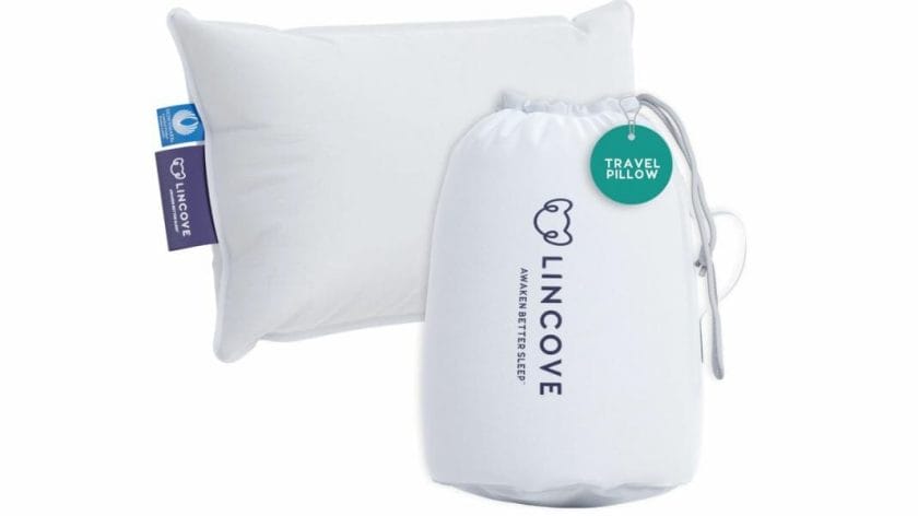 Lincove Canadian Down Feather Travel Pillow